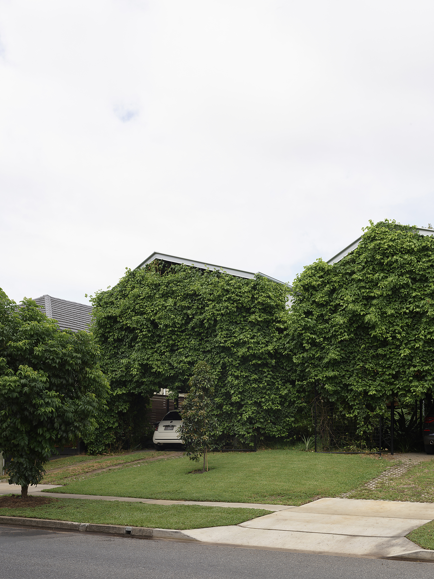 Interior photograph of Twin Houses by Toby Scott